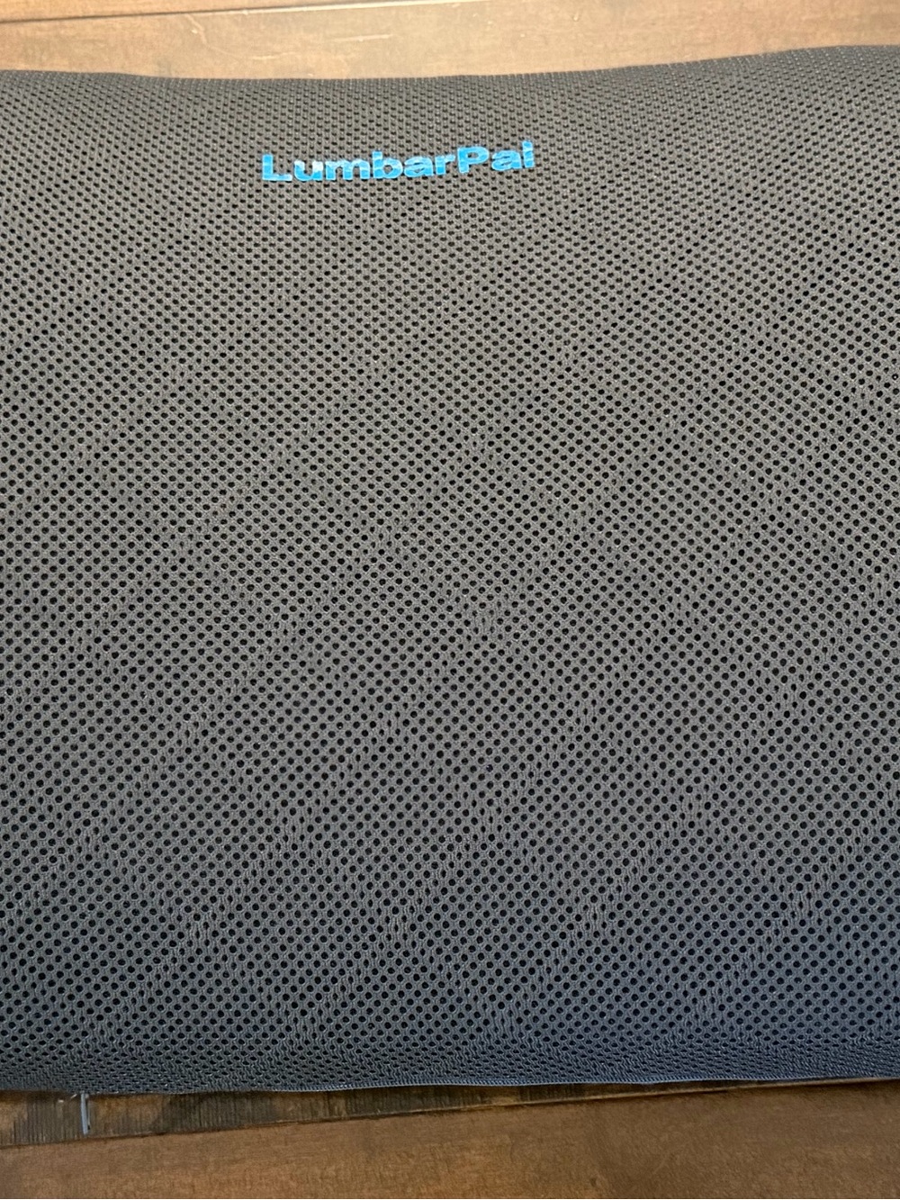 🌟 NWOT Gray Mesh Lumbar Support Pillow